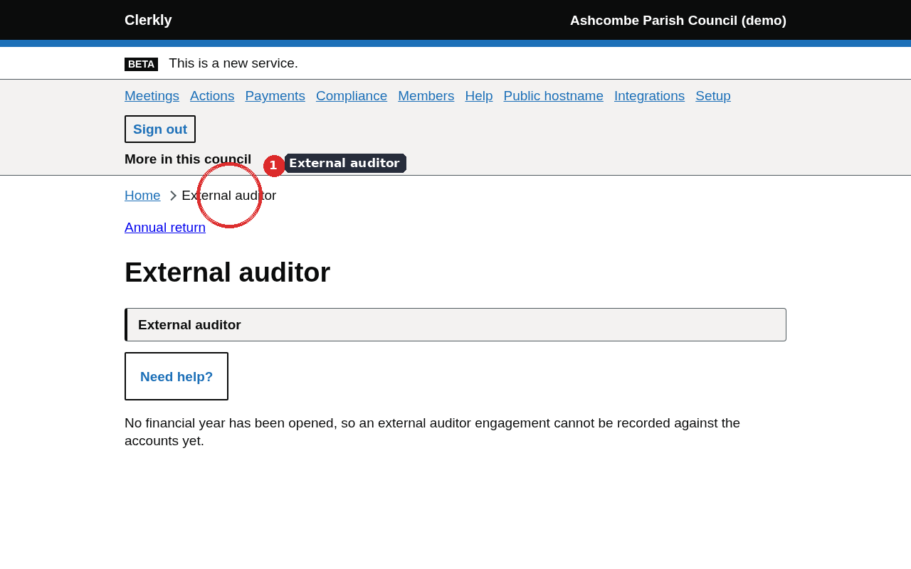 The external auditor page with the engagement, fee claims and access for the firm.